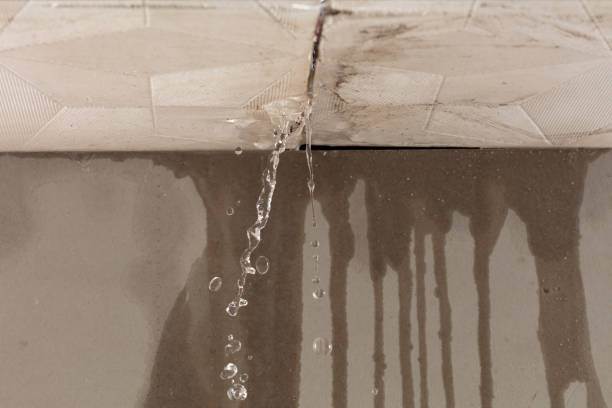 Professional Water Extraction technician working in Kirkwood, MO